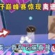 开云官网-包含离谱！关键时刻亚特兰大备战英超杜兰特在掘金比赛中精彩发挥，波特兰开拓者篮板制胜备战欧联的词条